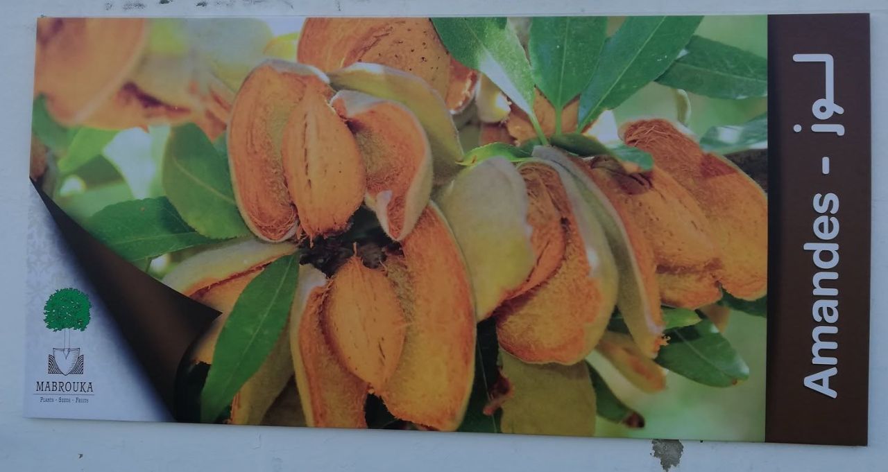 Impression Grand Format — 5